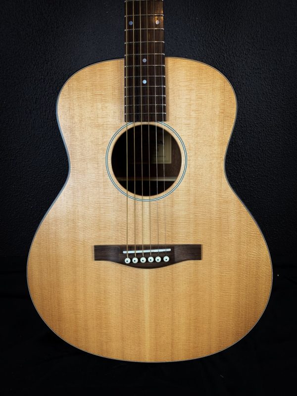 Eastman ACTG 1 - Afbeelding 3