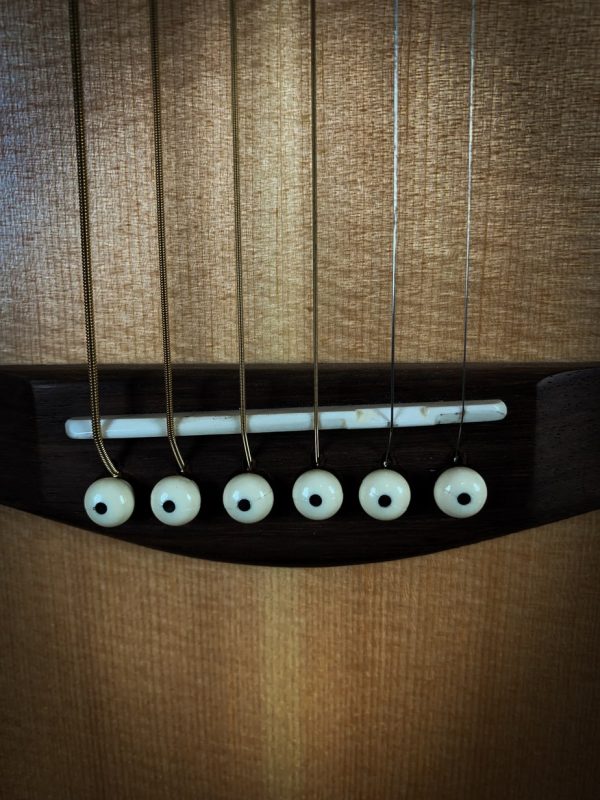 Eastman ACTG 1 - Afbeelding 8