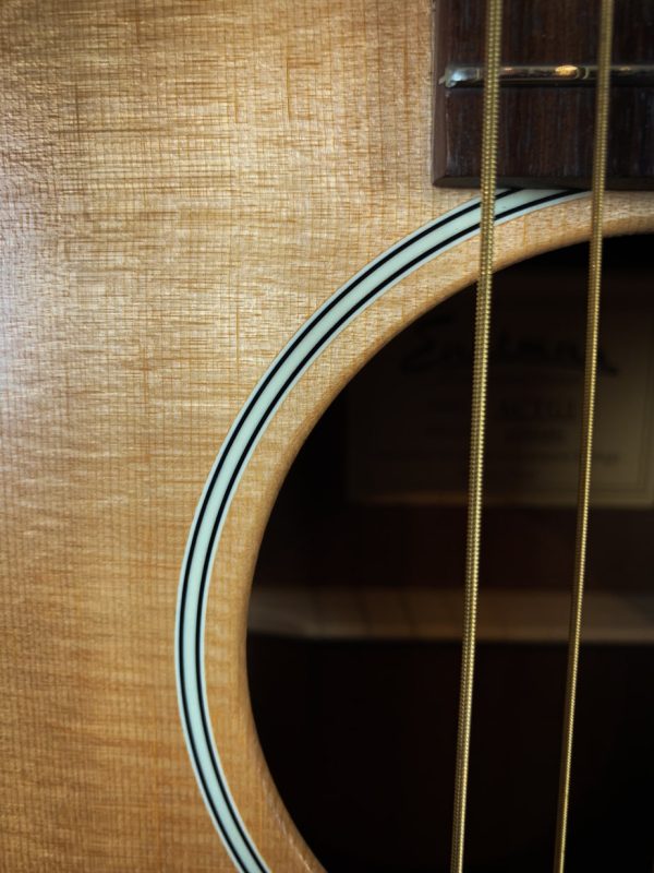 Eastman ACTG 1 - Afbeelding 6
