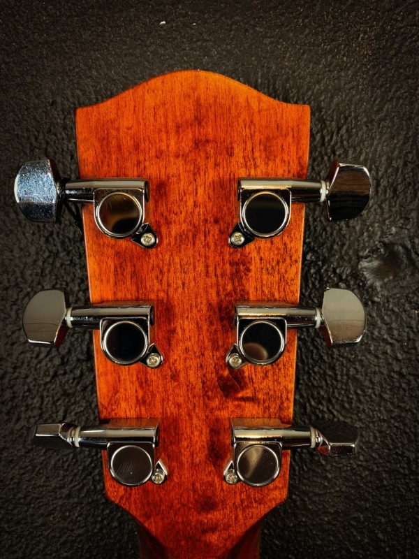 Eastman ACTG 1 - Afbeelding 9