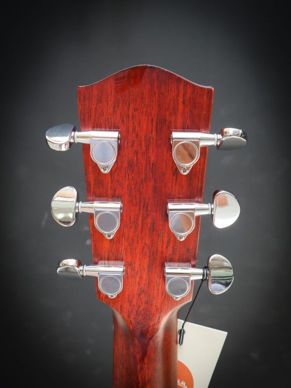 Eastman PCH1 GACE - Afbeelding 13