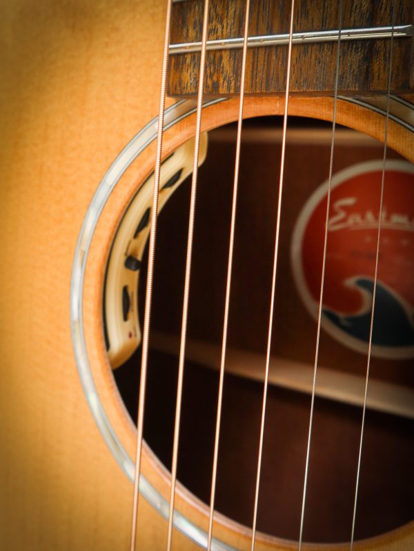 Eastman PCH1 GACE - Afbeelding 11