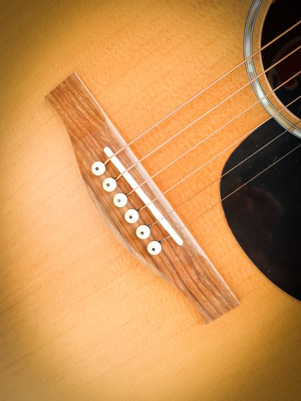 Eastman PCH1 GACE - Afbeelding 8