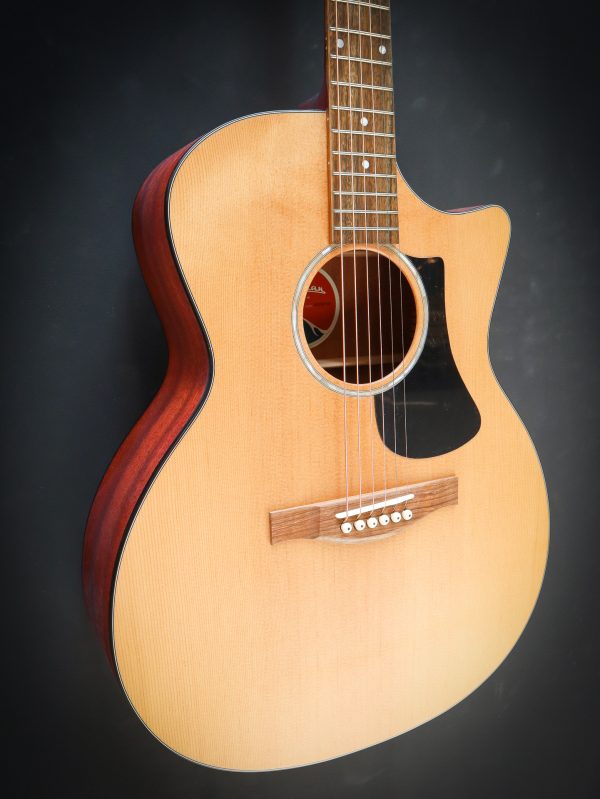 Eastman PCH1 GACE - Afbeelding 4