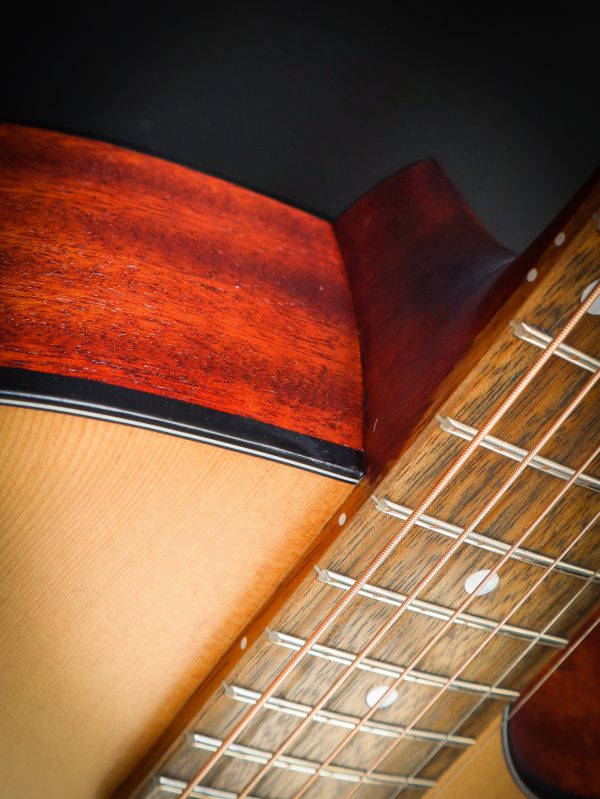 Eastman PCH1 GACE - Afbeelding 7