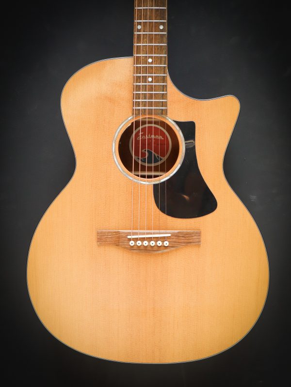 Eastman PCH1 GACE - Afbeelding 3