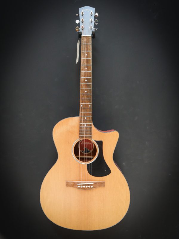 Eastman PCH1 GACE - Afbeelding 2
