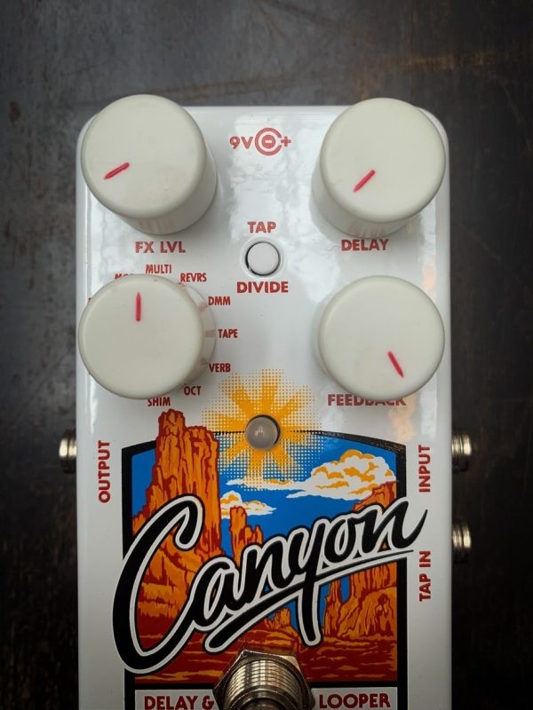 Electro-Harmonix Canyon - Afbeelding 2