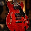 Eastman T484