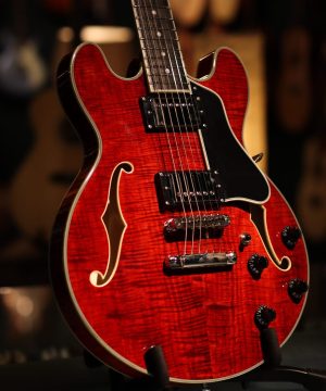 Eastman T484