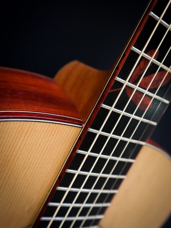 Dowina Master Series Padauk GA - Afbeelding 6