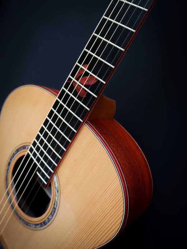 Dowina Master Series Padauk GA - Afbeelding 7