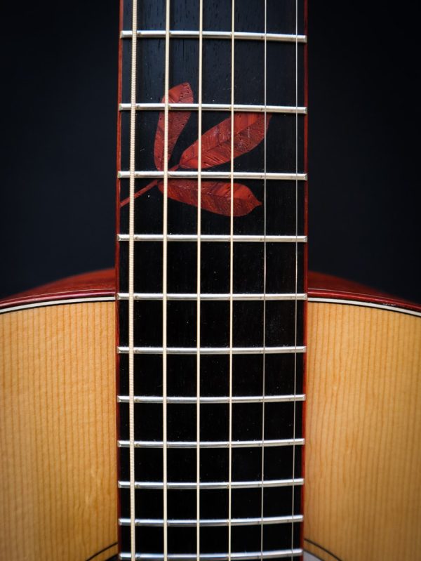 Dowina Master Series Padauk GA - Afbeelding 8