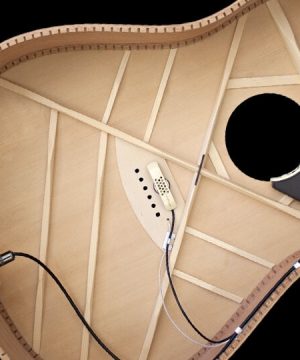 L.R. Baggs Anthem akoestische pickup