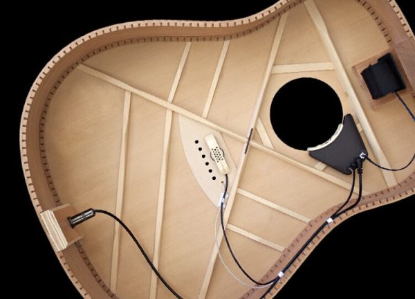 L.R. Baggs Anthem acoustic pickup including installation