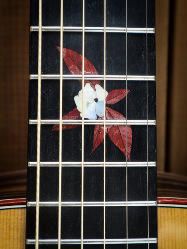 Dowina Master Series Ebony GA tds - Afbeelding 9