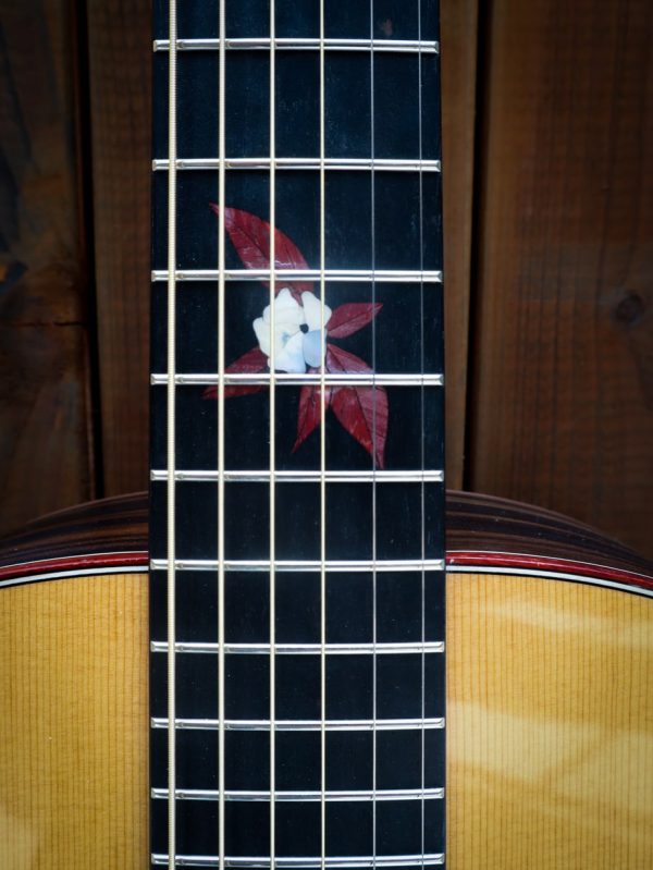 Dowina Master Series Ebony GA tds - Afbeelding 13
