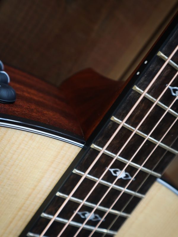 Taylor Grand Pacific 317e V-class bracing - Afbeelding 5