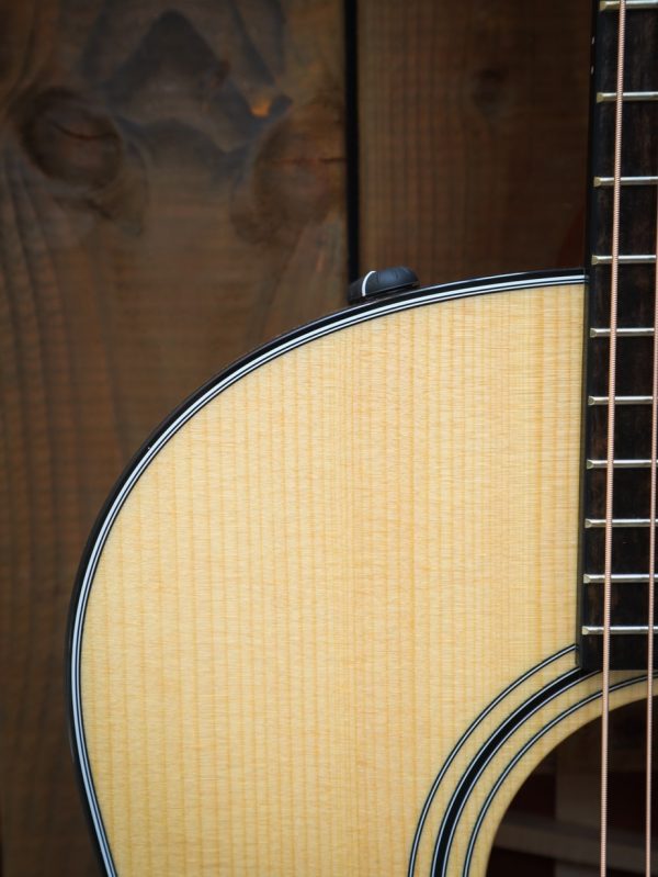 Taylor Grand Pacific 317e V-class bracing - Afbeelding 6