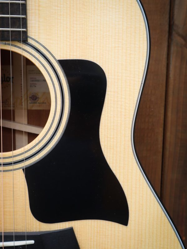 Taylor Grand Pacific 317e V-class bracing - Afbeelding 7