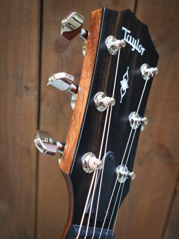 Taylor Grand Pacific 317e V-class bracing - Afbeelding 12
