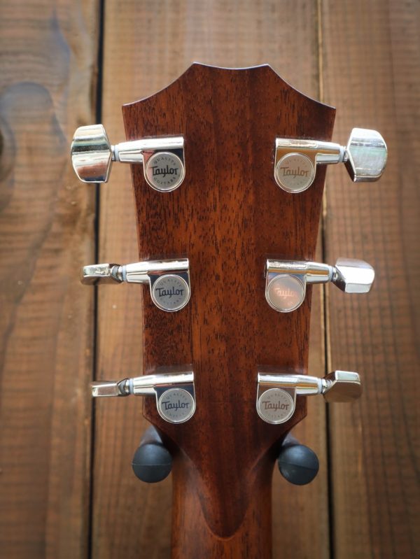 Taylor Grand Pacific 317e V-class bracing - Afbeelding 13