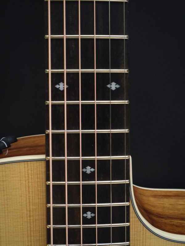 Taylor 214ce-K DLX - Afbeelding 11