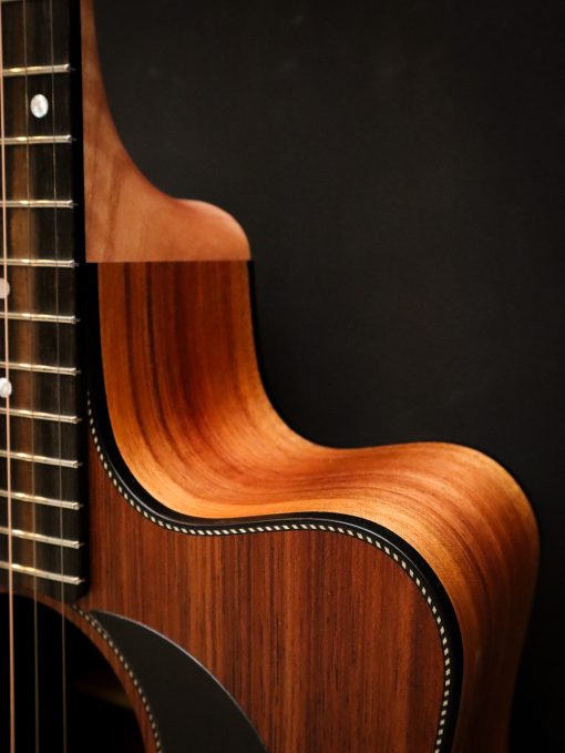 Maton Blackwood Series 70C - Afbeelding 8