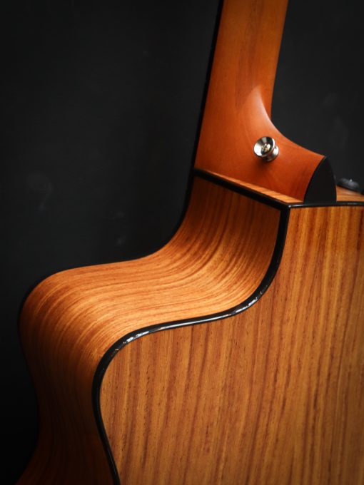 Taylor 214ce Plus - Afbeelding 18