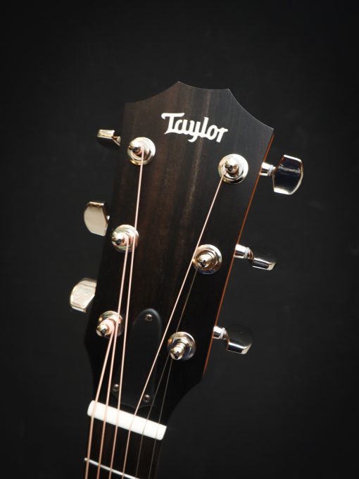 Taylor 214ce Plus - Afbeelding 14