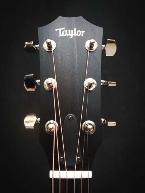 Taylor 214ce Plus - Afbeelding 13