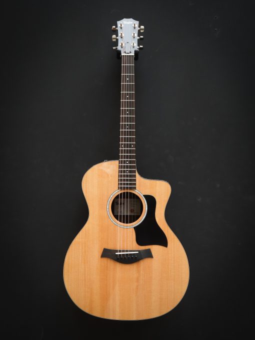 Taylor 214ce Plus - Afbeelding 2