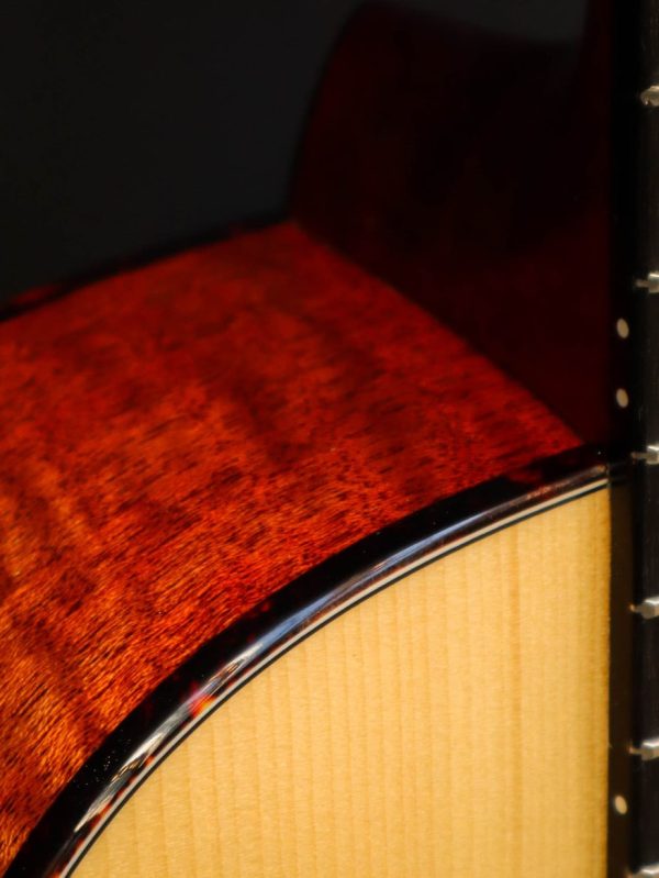 Eastman E10P - Afbeelding 5