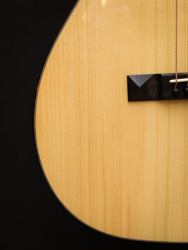Eastman E10P - Afbeelding 6