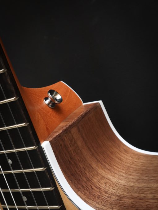 Taylor 214ce-N - Afbeelding 8
