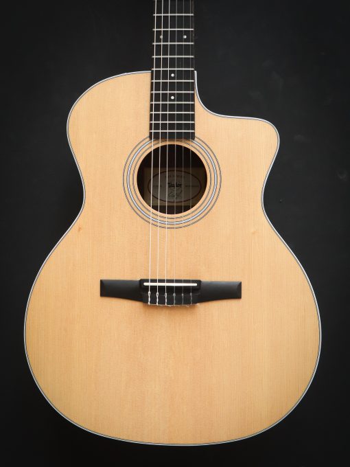Taylor 214ce-N - Afbeelding 3