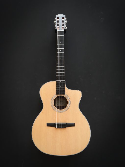Taylor 214ce-N - Afbeelding 2