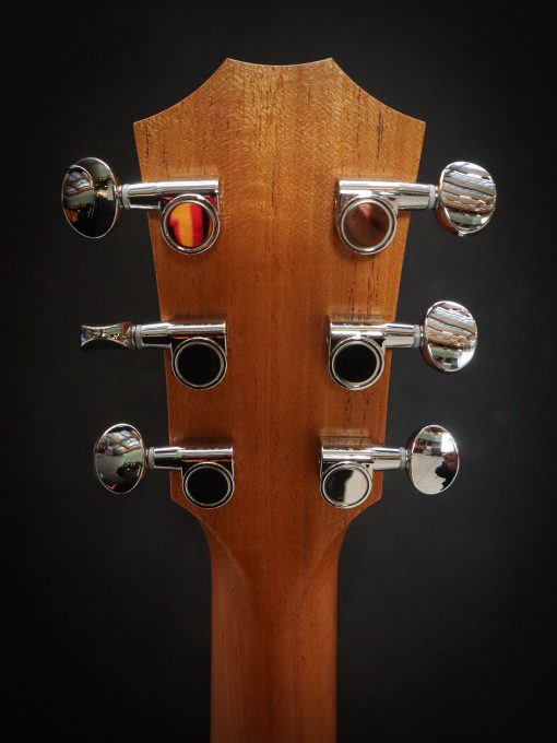Taylor GS Mini-e Victorian Burst - Afbeelding 13