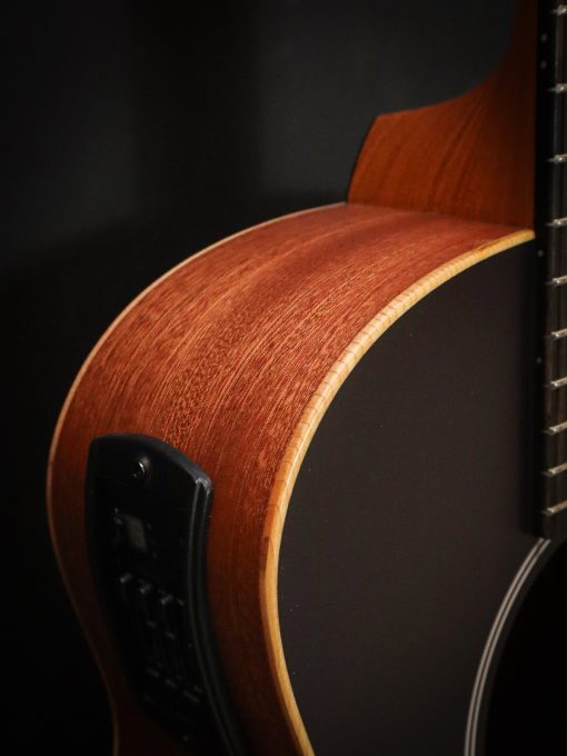 Taylor GS Mini-e Victorian Burst - Afbeelding 7