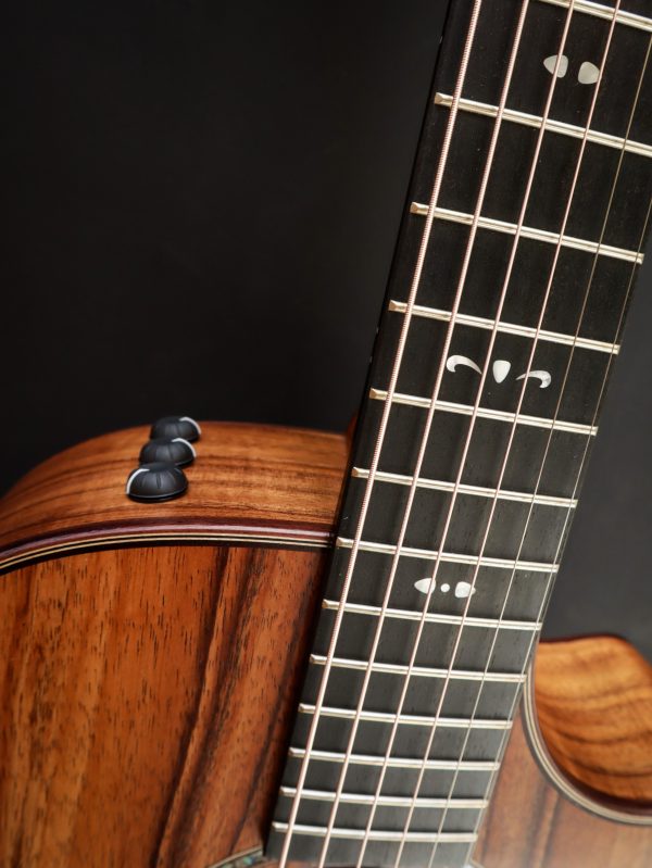 Taylor 722ce - Afbeelding 5