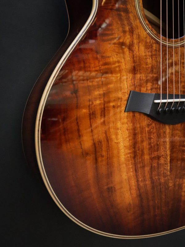 Taylor GT K21e - Afbeelding 10