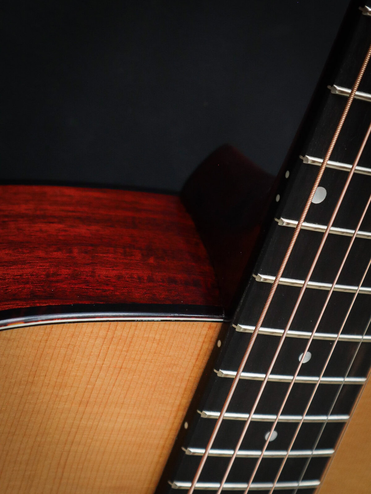 Eastman E6 OM TC - Afbeelding 9