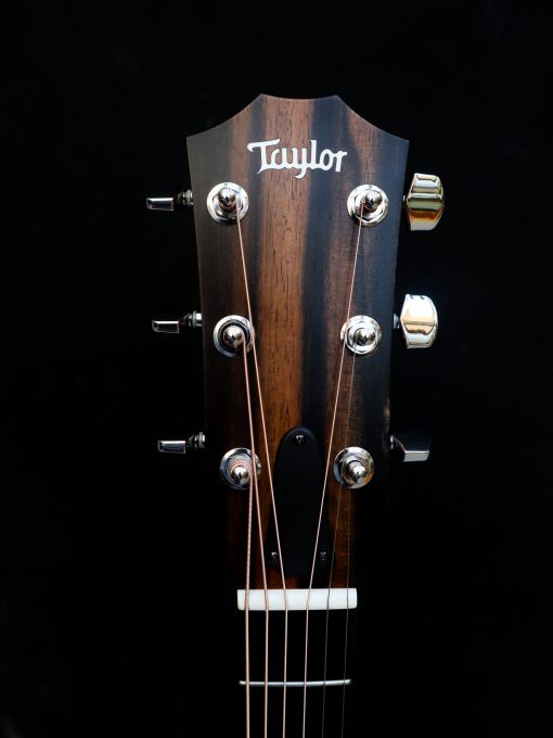 Taylor 214 CE - Afbeelding 11