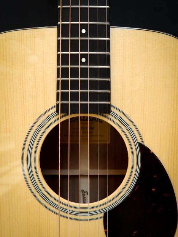 Eastman E10 OM - Afbeelding 13
