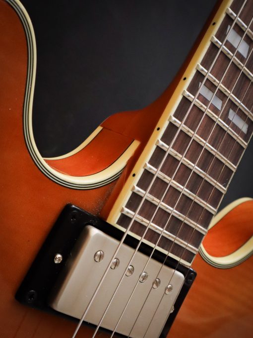 Stanford CR Thinline 35 Vintage Blonde FM - Afbeelding 7