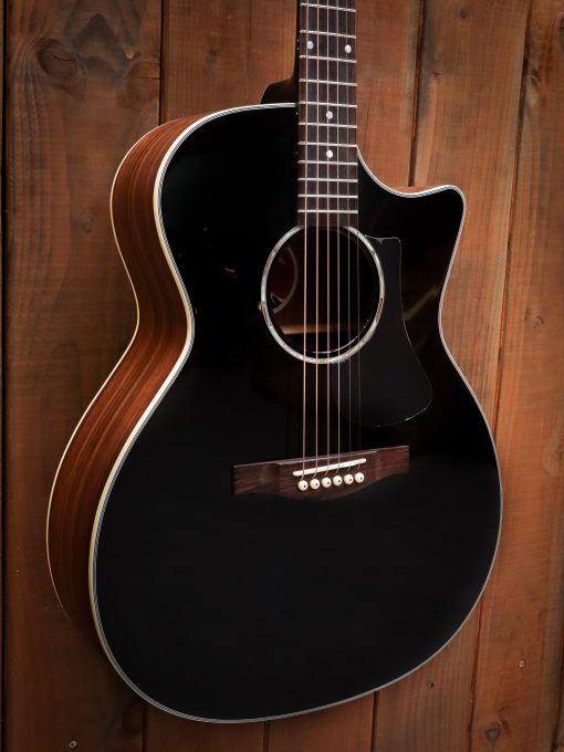 Eastman PCH2 Black - Afbeelding 4