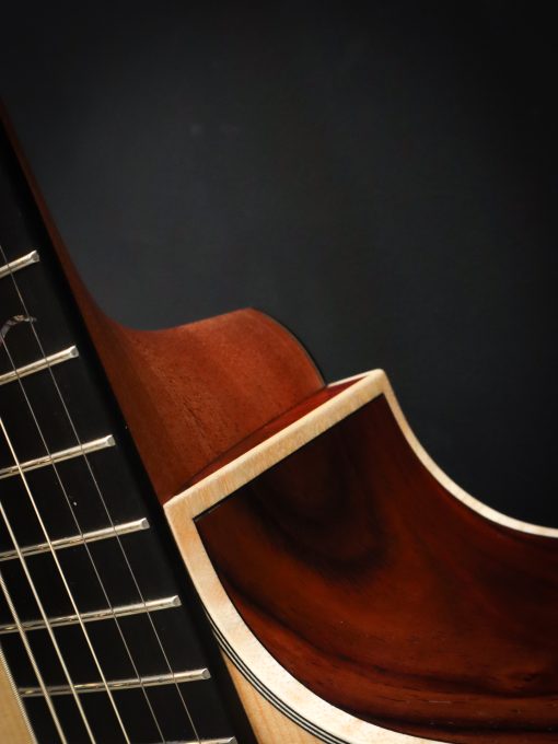 Dowina Master Series Cocobolo GAC - Afbeelding 9
