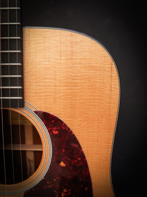 Eastman E1 D - Afbeelding 7