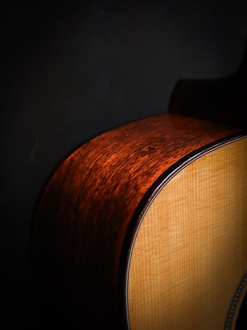 Eastman E1D Special - Afbeelding 6