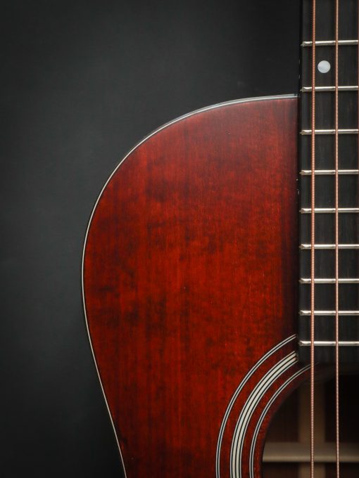 Eastman E1P Bluesmaster Limited Edition - Afbeelding 5